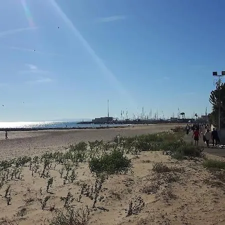 Estudio En Playa Puig