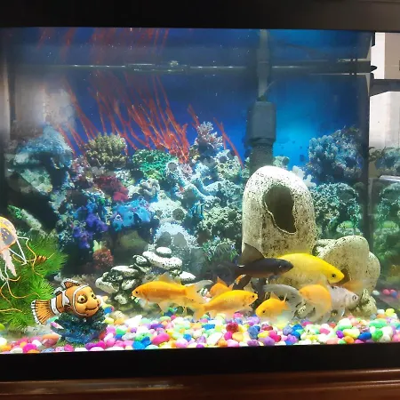 Habitación en casa particular Habitación San Cayetano Valencia