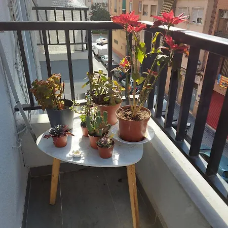 Arts & Sciences Museum/beach Wifi * Valenza