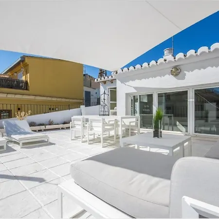 Apartment No Turistic Rental, Duplex Penthouse In The Historic Center, Valencia, Ideal For Those Looking To In The For A Season, Including Professionals And Students Valencia