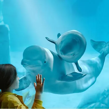 Jl Ciudad De Artes 公寓 *