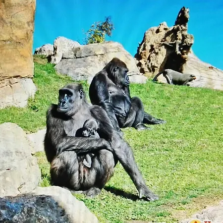 Duplex Near Center Lovely Valencia