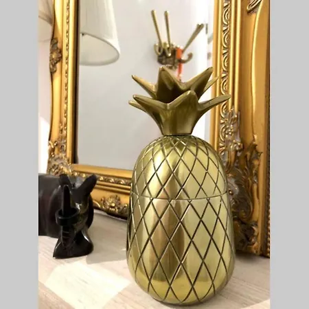 Beautiful And Renovated In The Center *