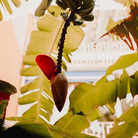 度假居 La Casona House *