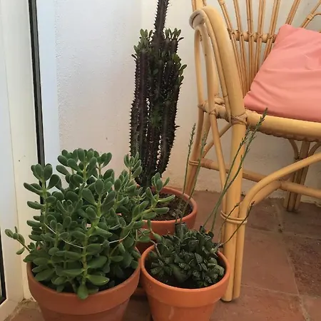 Appartement Elsa