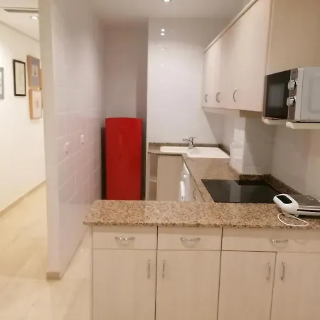 拉斯阿雷纳斯海滩公寓 *