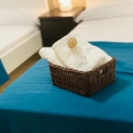 M & B 발렌시아