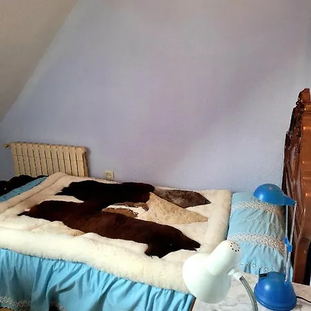 Palau 2 Séjour chez l'habitant *
