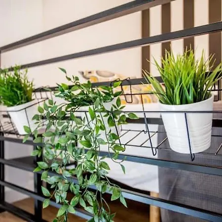 Cool Lofts Center Affittacamere *