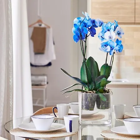 Slow Apartamento *