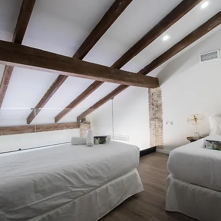 Grabador Ciudad De Artes Y Ciencias Mid-term Apartamento *