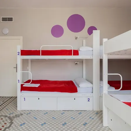 パープル ネスト