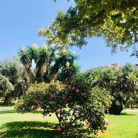 Apartman Turia San Pio V *