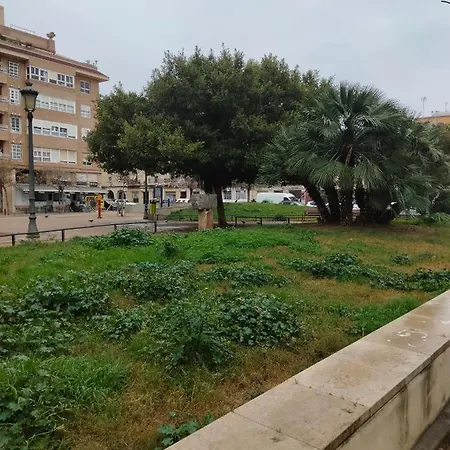 Malvarrosa
