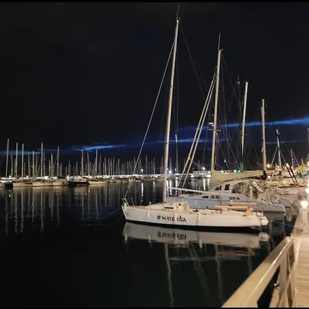 Zeus * Valencia