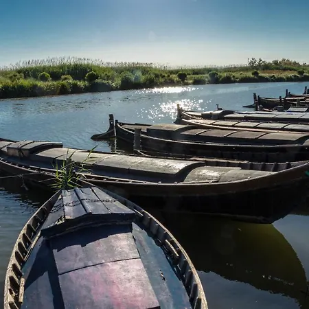 Apartamento Luminoso. Comodo. Acogedor. Wifi. Junto A Ave *