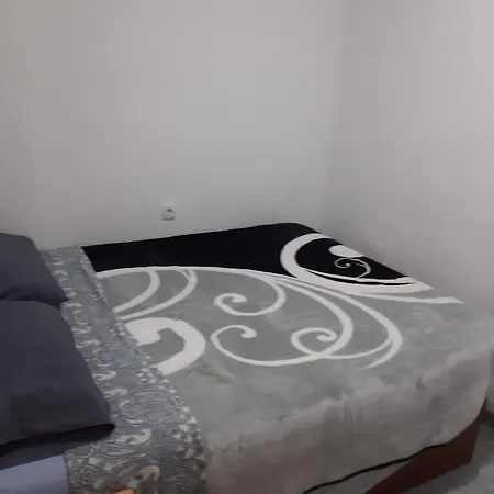 Grande En Piso Compartido Con 2 Adultos *