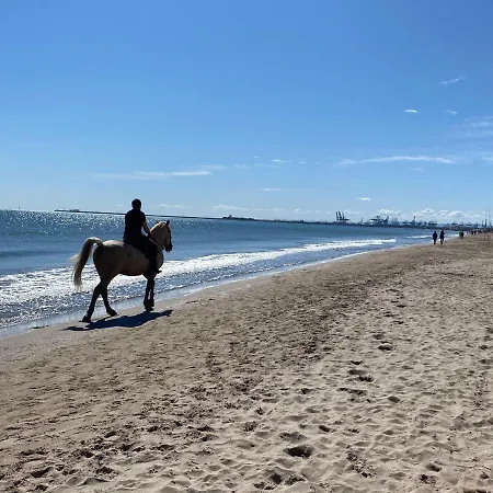 Avenida Mare Nostrum 7 Patacona Breakfast Items In The 발렌시아