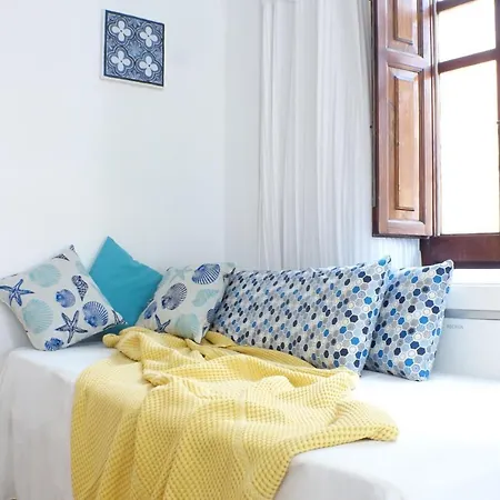Xl Flat Apartment