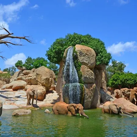 Appartement Biohomevalencia Valencia