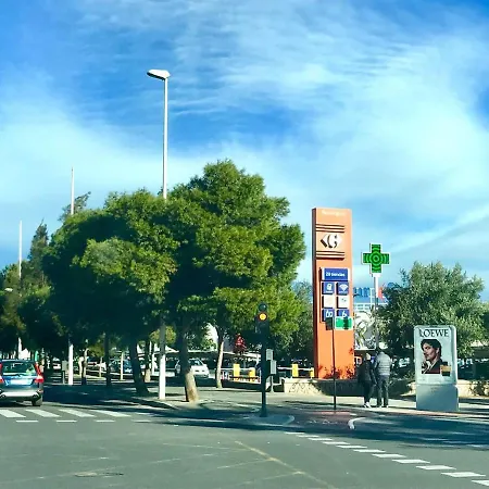 Near The Bio Parc バレンシア