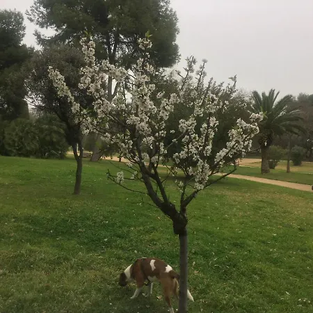 Διαμέρισμα Mi Casa Your *