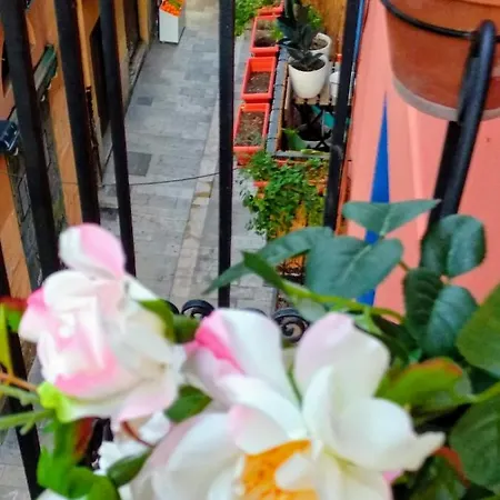 شقة Valencian Dreams Of The Proletariat *