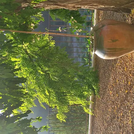 Serrano, La De Mil Suelos * 瓦伦西亚