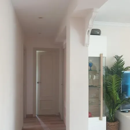 Piso En La Turia Valencia