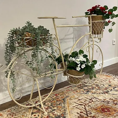 Wonderful In The Heart Of Apartament