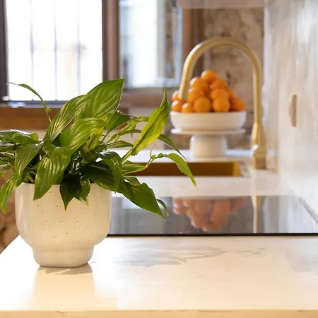 Singularstays Santa Cruz 9 * Valence