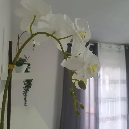Appartement Apartamento Rio Turia