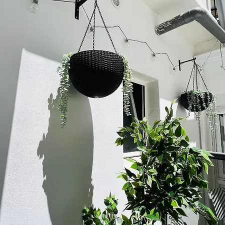 Cool Lofts Alameda * Valenza