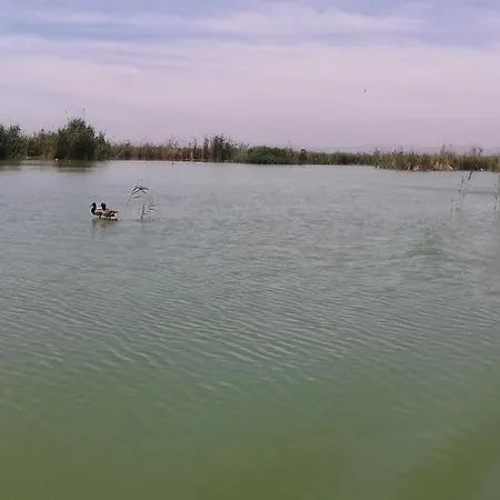 Apartment Alex And Renate *