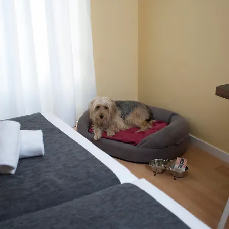 Casual Del Cine Hotel Valencia