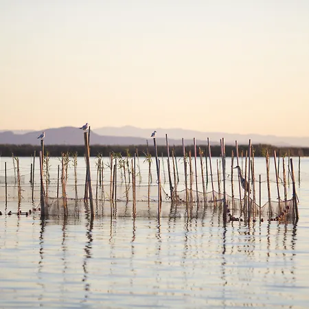 Отель Dalt Валенсия