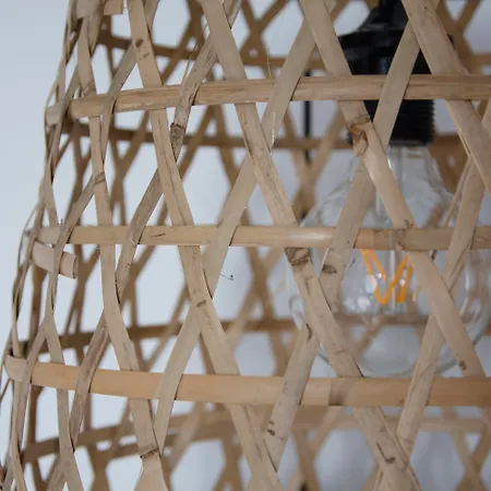 & Co. Saler Boutique