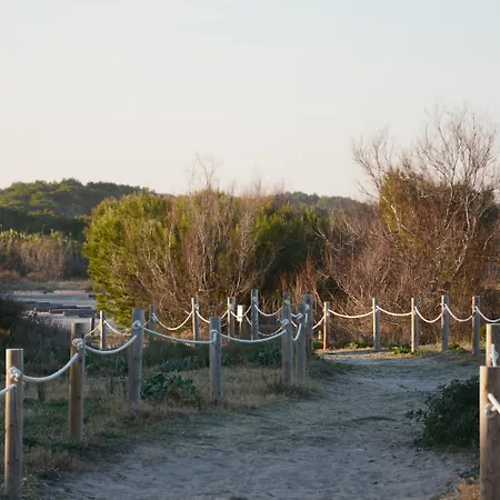 & Co. Saler Boutique Hotel