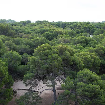 & Co. Saler Boutique Valencia