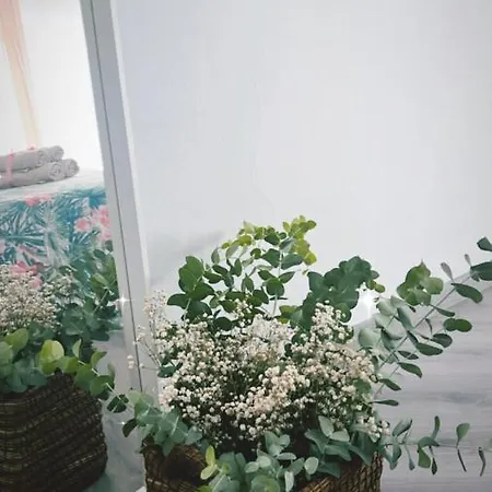 Bonito Apartamento Cerca Del Casco Antiguo Appartement *
