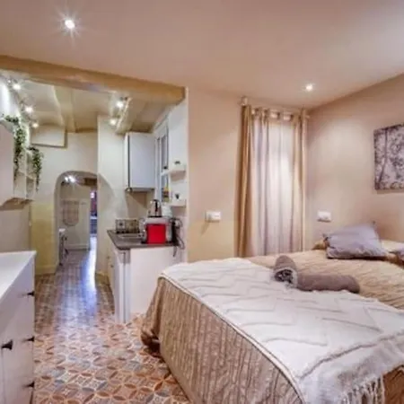 Lovely Coquette Loft, Heart Of Cuitat Vella El Carmen 公寓