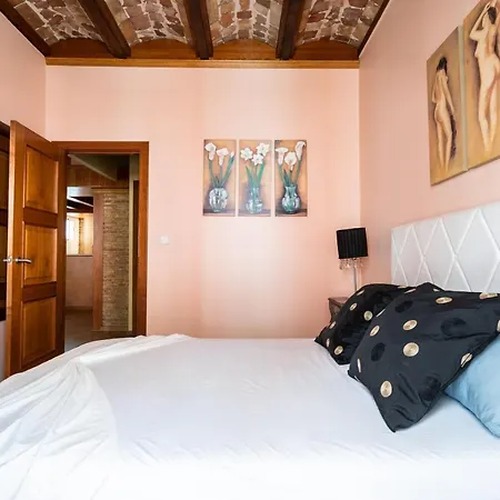 Lujoso Duplex En El Corazón De * Valencia