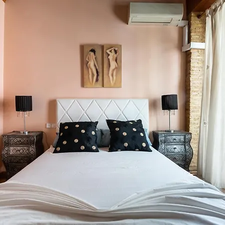 Lujoso Duplex En El Corazon De Valencia
