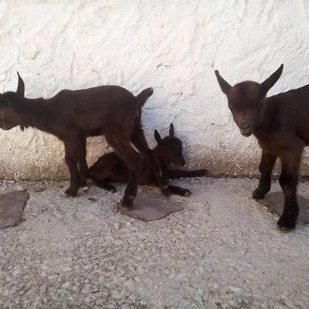Alpehytte Granja El Regajo *
