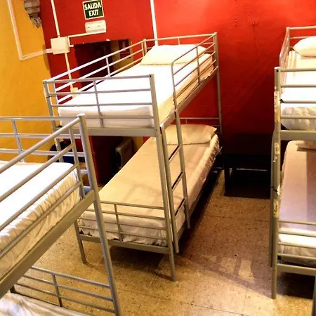 Feetup Backpackers אכסניה