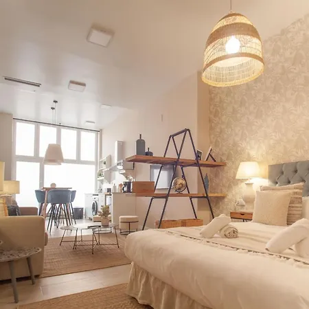 Md Patacona Mid-term *