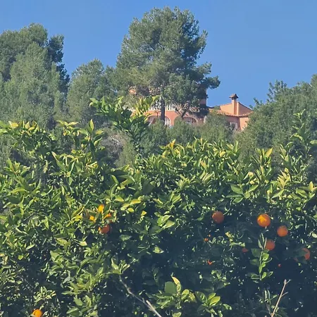 Chateau Angelique Casa rural Valencia