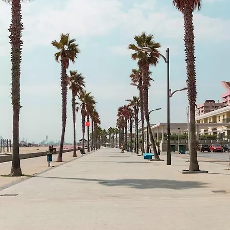 Apartup Patacona Oriental Daire *