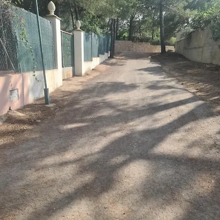 Chateau Angelique منزل ريفي فالنسيا