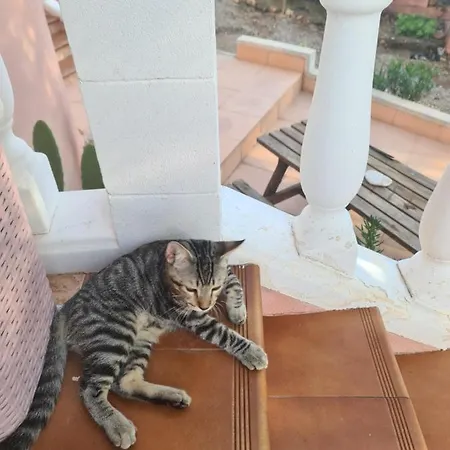 Chateau Angelique ולנסיה